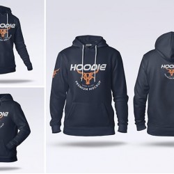 Mockup Design / psdmckp13