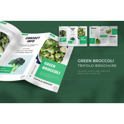 Brochure / aibrsr-10