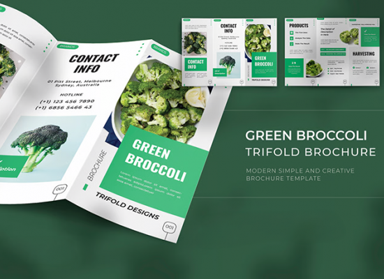 graphic design brochure work