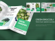 graphic design brochure work