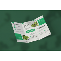 Brochure / aibrsr-10