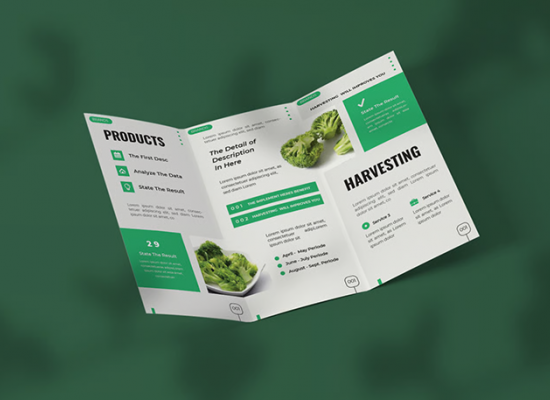 graphic design brochure work