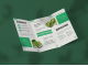 graphic design brochure work
