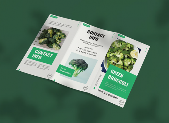 graphic design brochure work