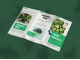 graphic design brochure work