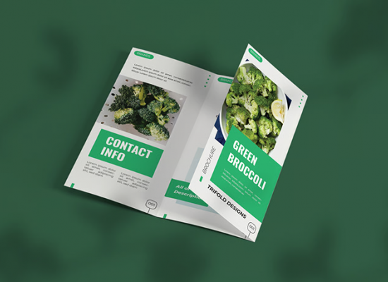 graphic design brochure work