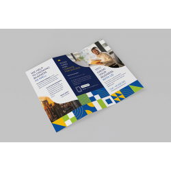 Brochure / aibrsr-17