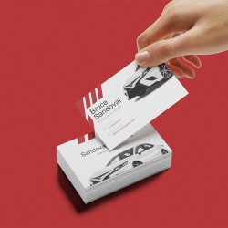 Business Card / aicrl-11