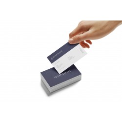 Business Card / aicrl-28