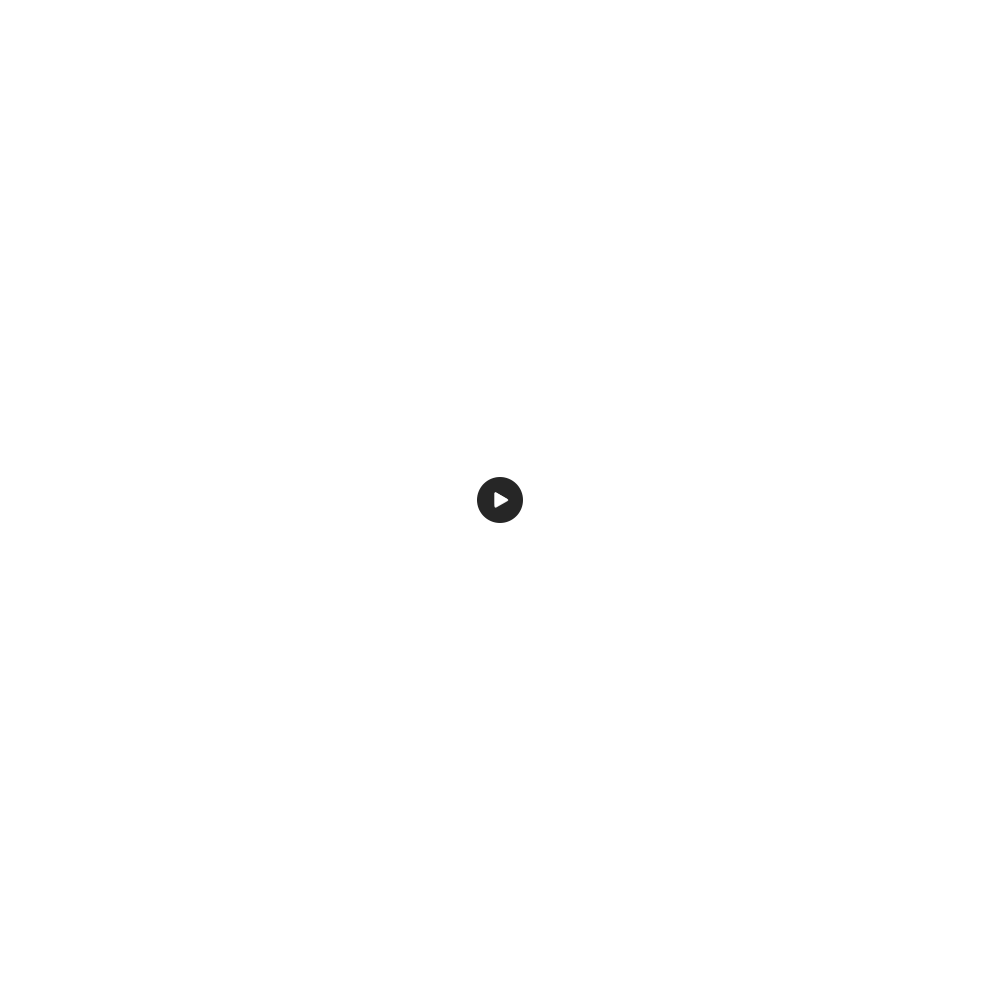 Logo Intro 
